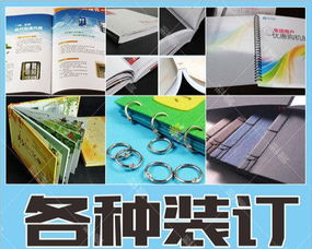 保定彩页印刷服务 保定彩客图文设计工作室的专业图文设计制作